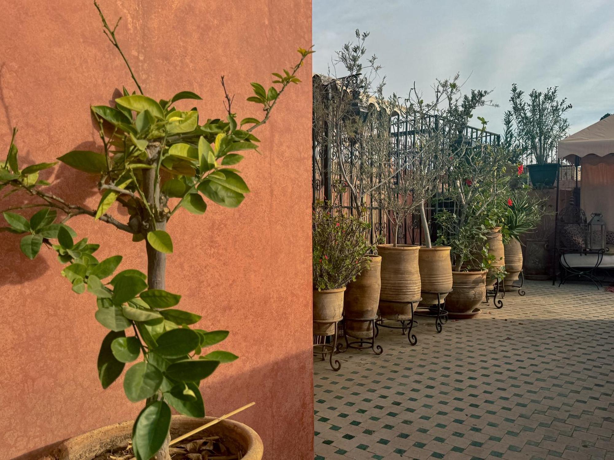 Riad Lapis-Lazuli Marrakesh Bagian luar foto
